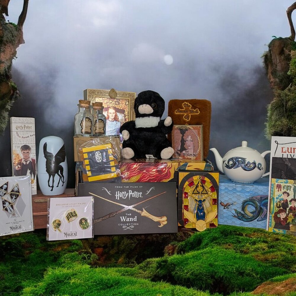 MASSIVE 23-Piece Harry Potter Fantastic Beasts LootCrate LitJoy Collection